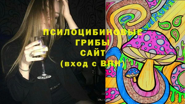 соль ск Верхний Тагил